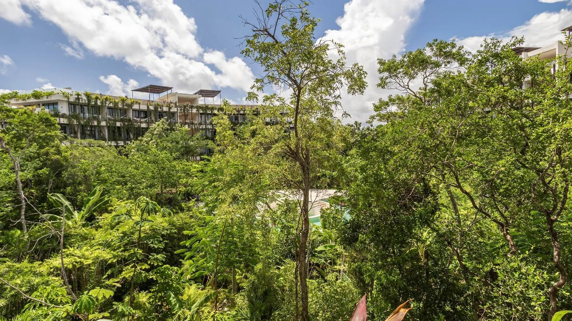 Cozy Studio In The Jungle, Balcony And Pool View 图卢姆 公寓